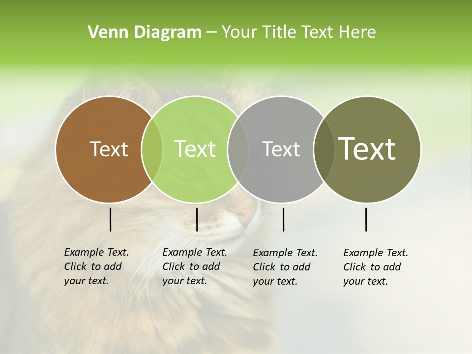 Habitat Veterinary Look PowerPoint Template