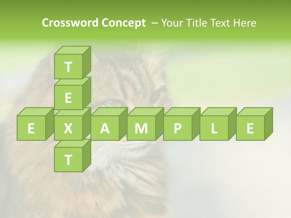 Habitat Veterinary Look PowerPoint Template