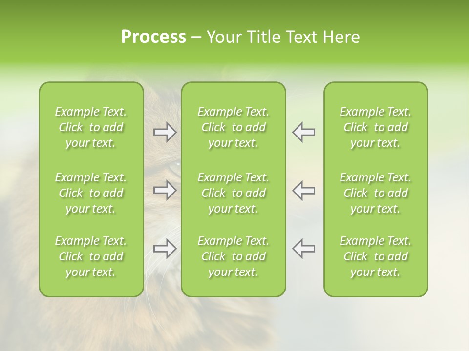 Habitat Veterinary Look PowerPoint Template