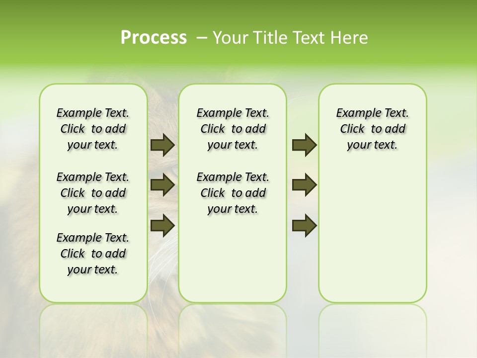 Habitat Veterinary Look PowerPoint Template
