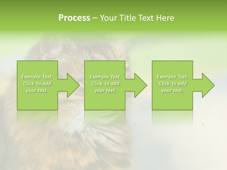 Habitat Veterinary Look PowerPoint Template