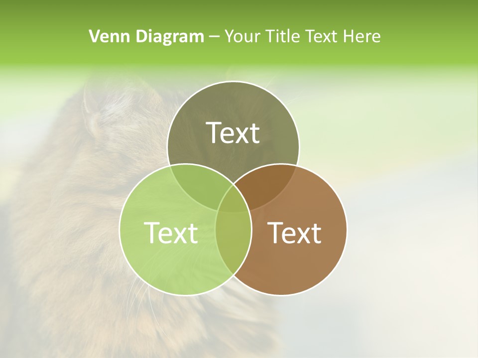 Habitat Veterinary Look PowerPoint Template