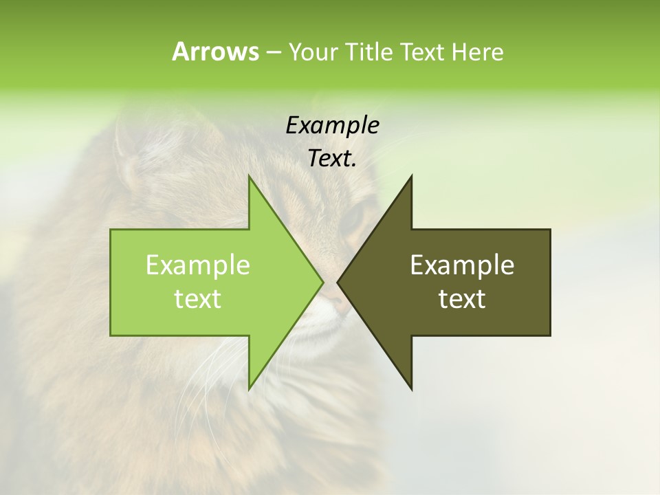 Habitat Veterinary Look PowerPoint Template