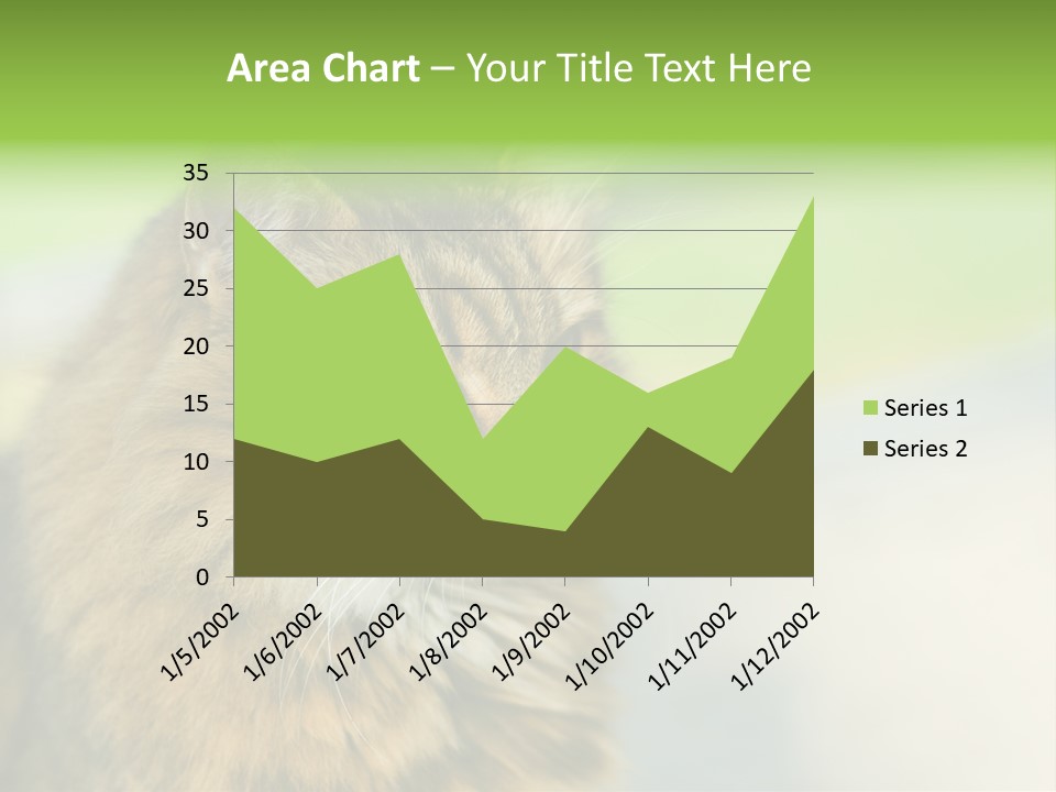Habitat Veterinary Look PowerPoint Template