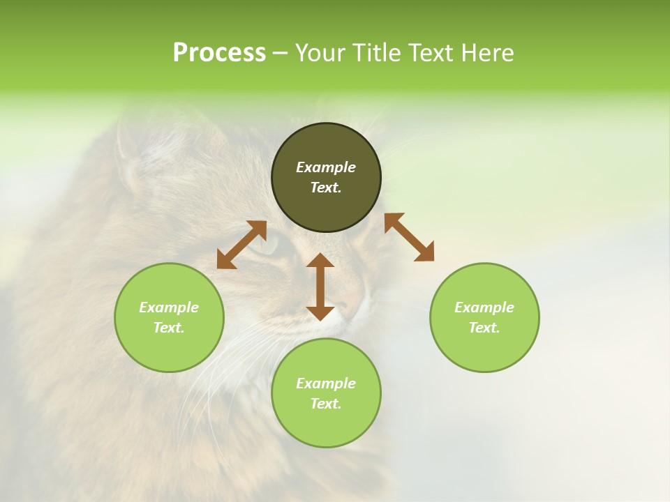 Habitat Veterinary Look PowerPoint Template