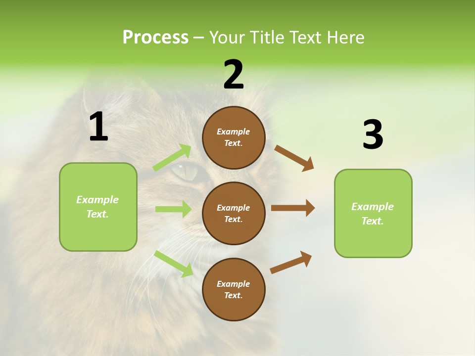 Habitat Veterinary Look PowerPoint Template