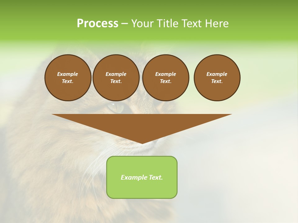 Habitat Veterinary Look PowerPoint Template