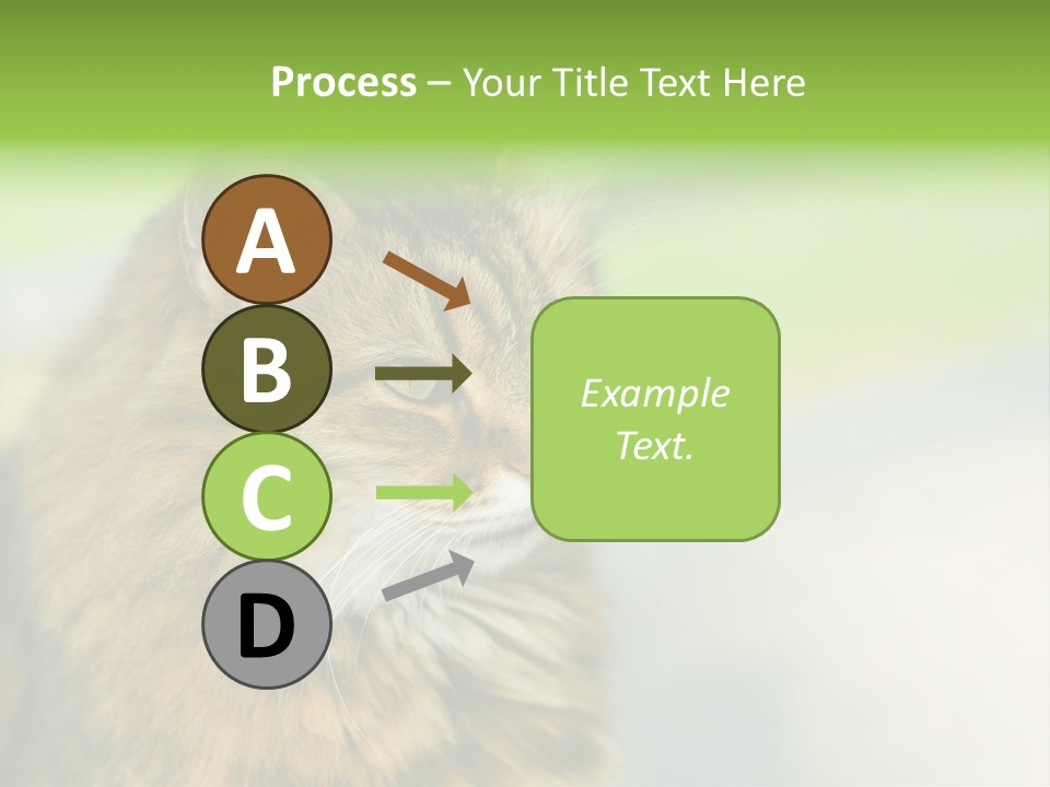 Habitat Veterinary Look PowerPoint Template