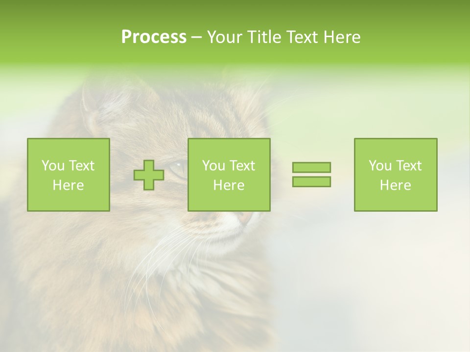 Habitat Veterinary Look PowerPoint Template