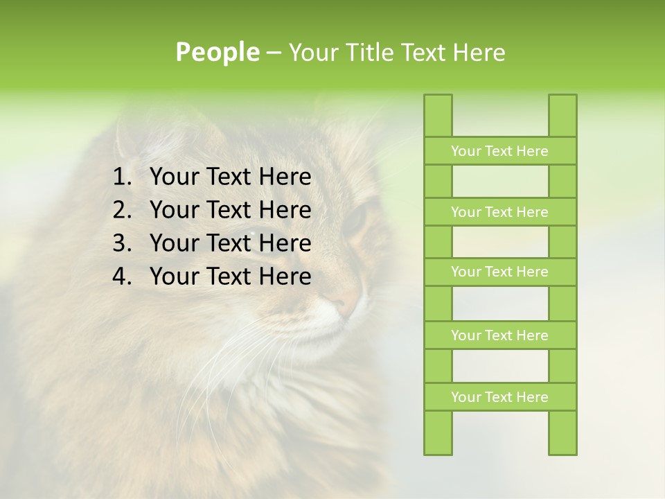 Habitat Veterinary Look PowerPoint Template