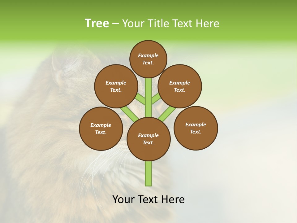 Habitat Veterinary Look PowerPoint Template
