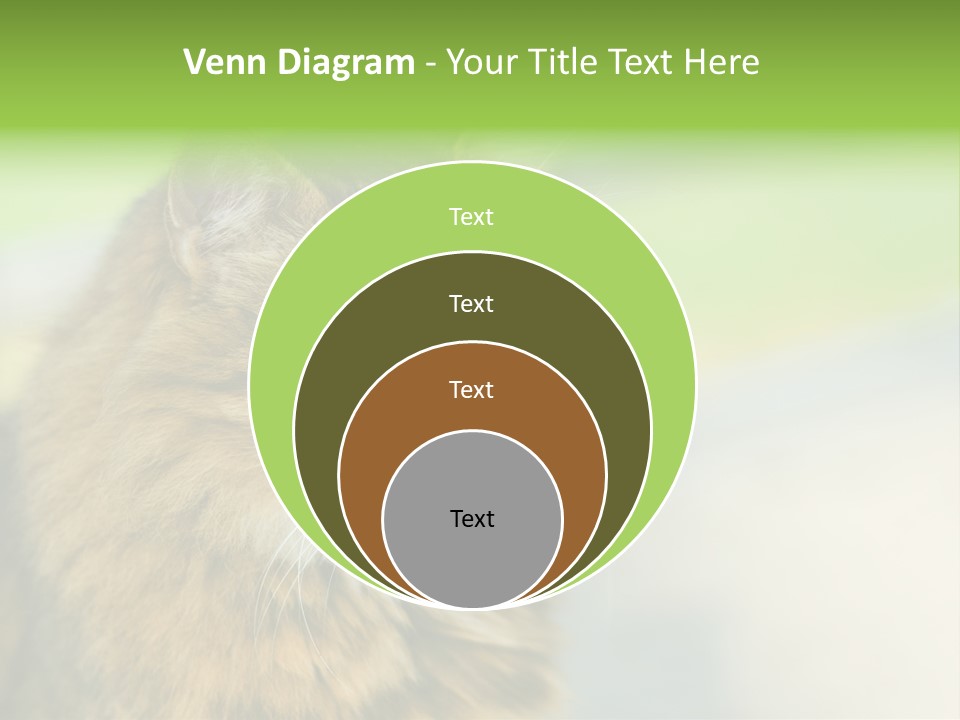 Habitat Veterinary Look PowerPoint Template