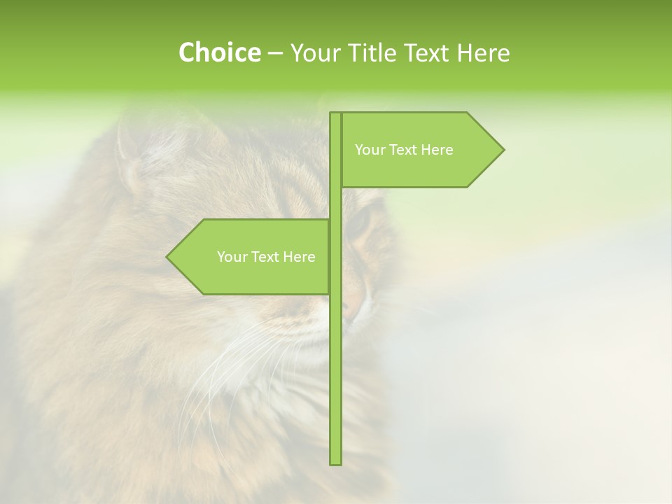 Habitat Veterinary Look PowerPoint Template