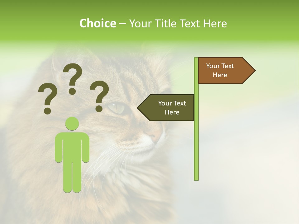 Habitat Veterinary Look PowerPoint Template