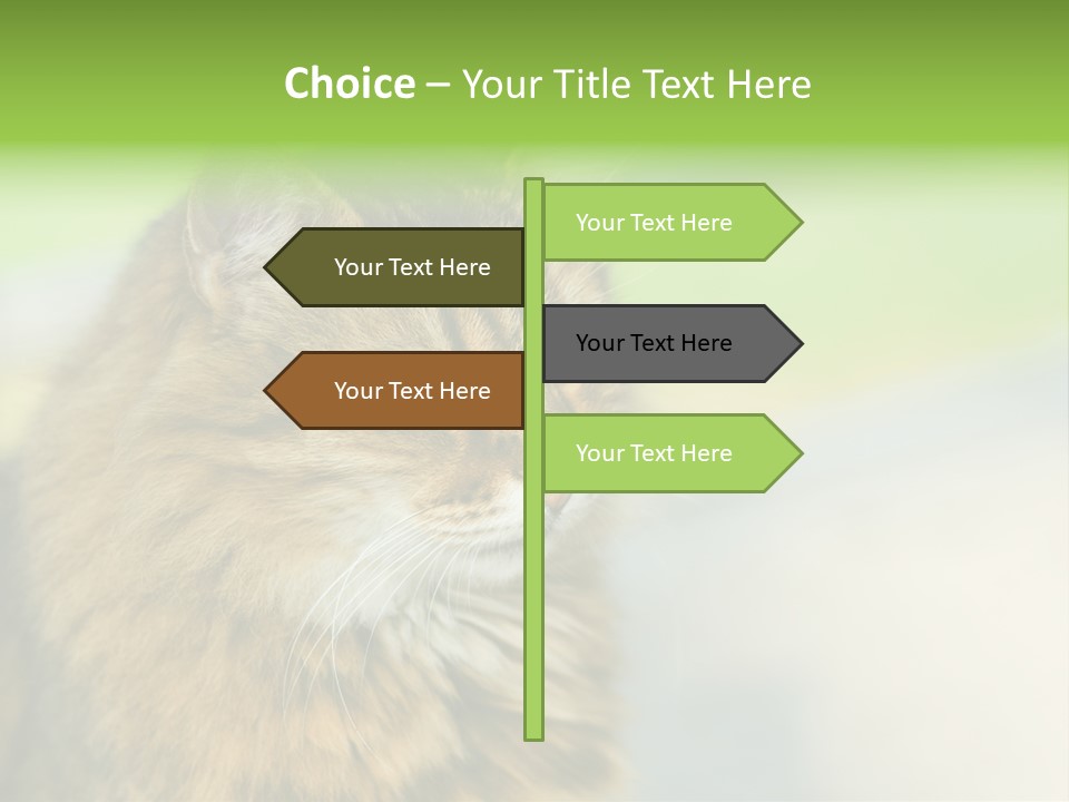 Habitat Veterinary Look PowerPoint Template