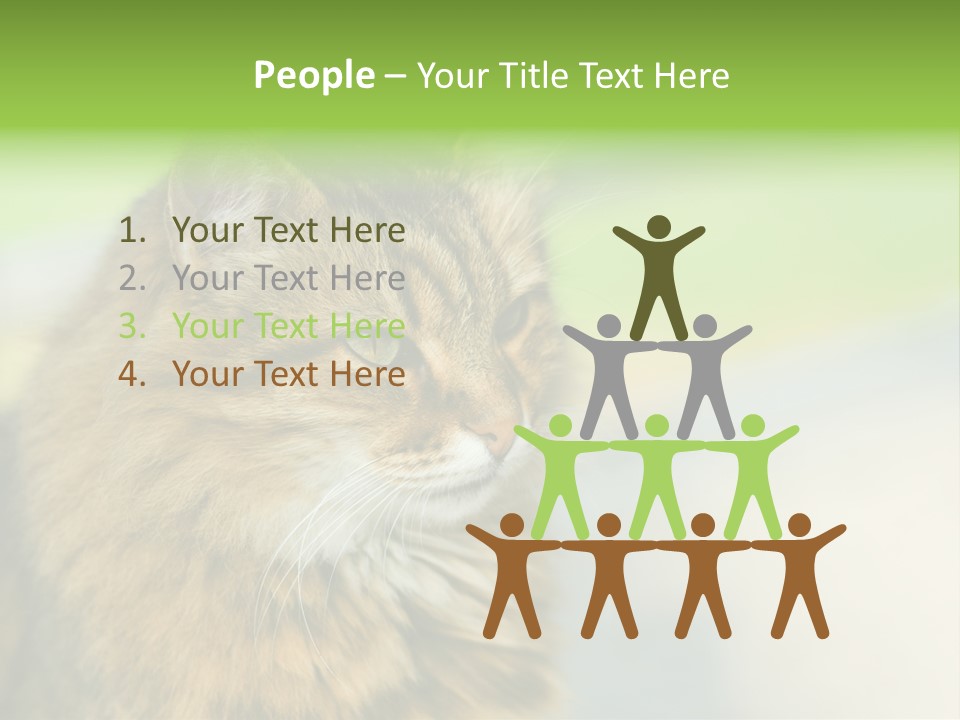 Habitat Veterinary Look PowerPoint Template
