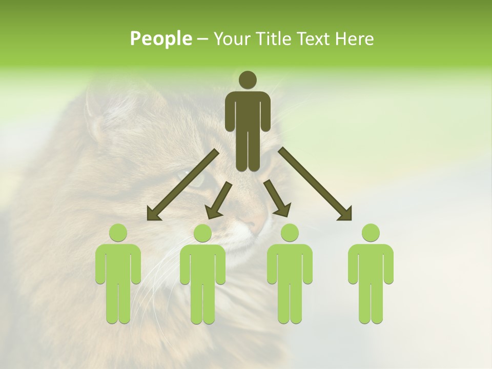 Habitat Veterinary Look PowerPoint Template