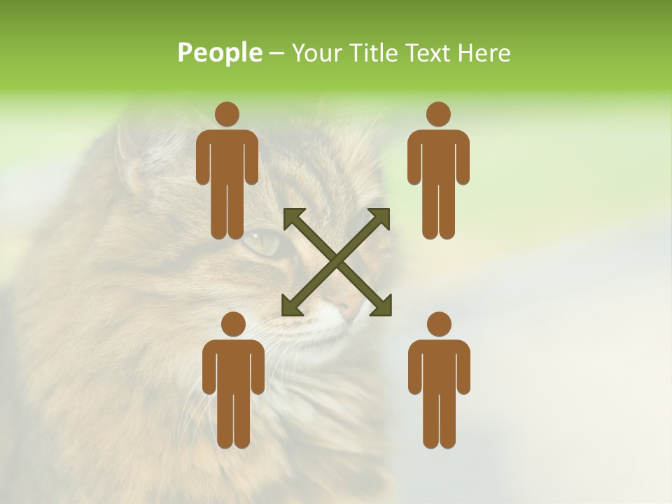 Habitat Veterinary Look PowerPoint Template