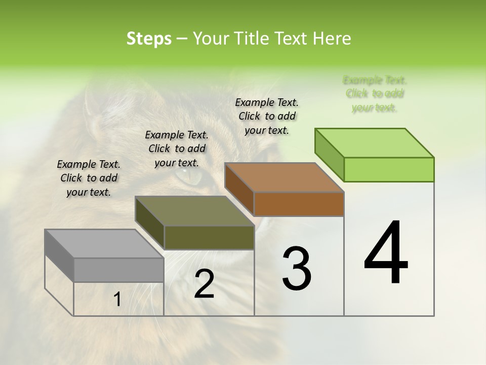 Habitat Veterinary Look PowerPoint Template