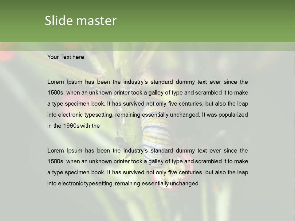 Lepidoptera Monarch Bloodflower PowerPoint Template
