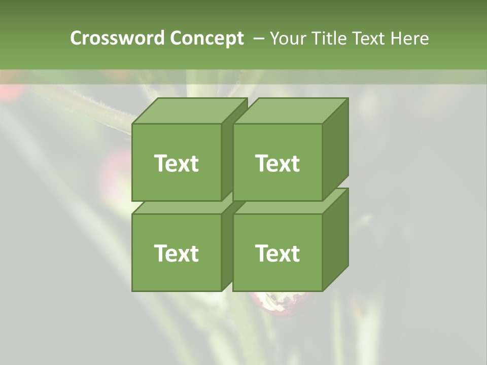 Lepidoptera Monarch Bloodflower PowerPoint Template