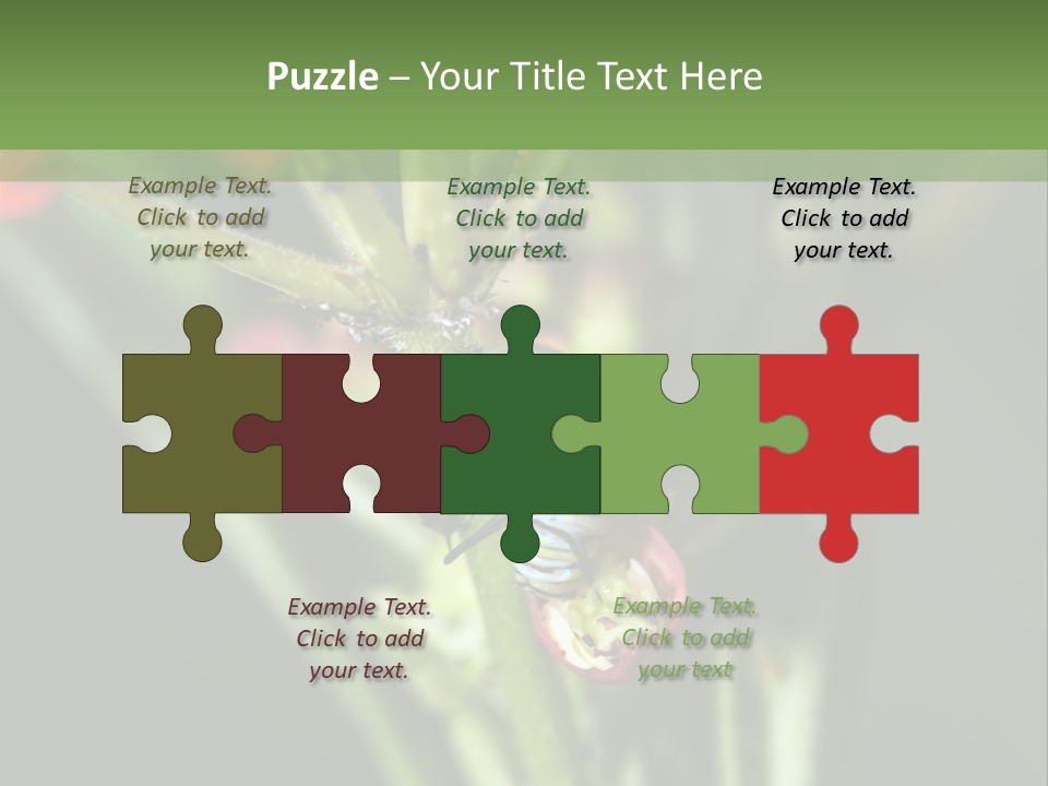 Lepidoptera Monarch Bloodflower PowerPoint Template