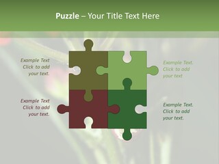 Lepidoptera Monarch Bloodflower PowerPoint Template