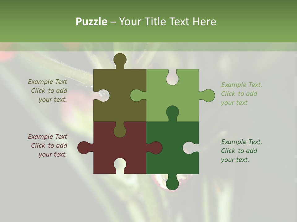 Lepidoptera Monarch Bloodflower PowerPoint Template