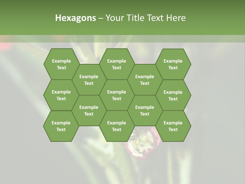 Lepidoptera Monarch Bloodflower PowerPoint Template