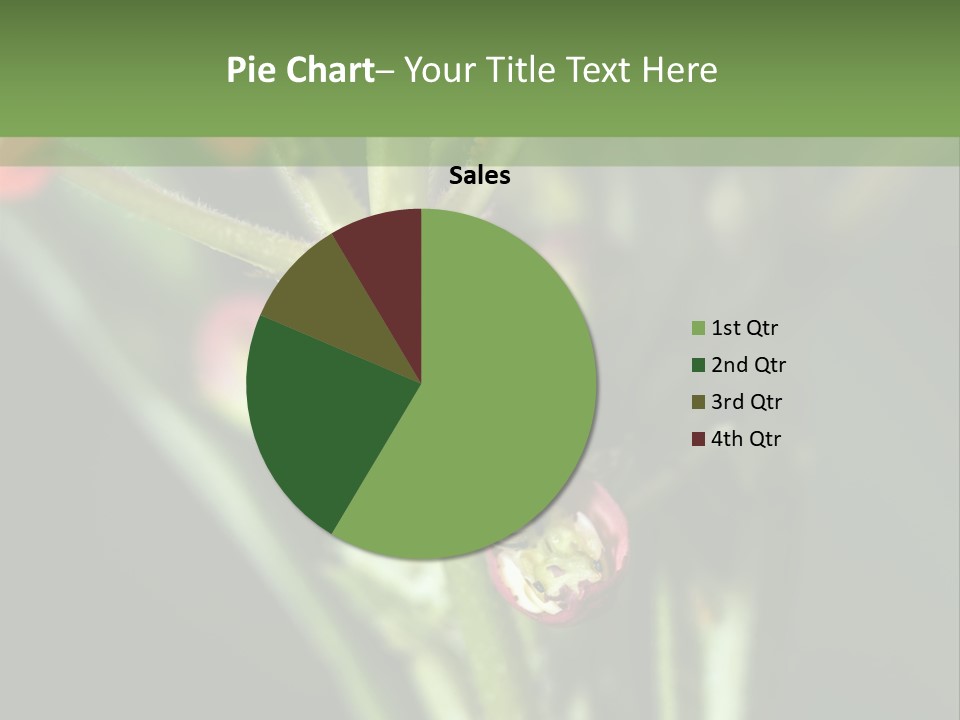 Lepidoptera Monarch Bloodflower PowerPoint Template