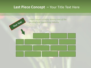 Lepidoptera Monarch Bloodflower PowerPoint Template