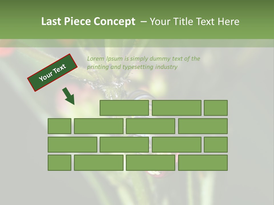 Lepidoptera Monarch Bloodflower PowerPoint Template