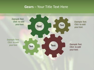 Lepidoptera Monarch Bloodflower PowerPoint Template