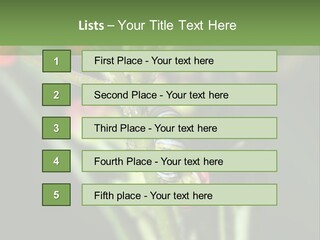 Lepidoptera Monarch Bloodflower PowerPoint Template