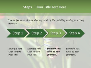 Lepidoptera Monarch Bloodflower PowerPoint Template