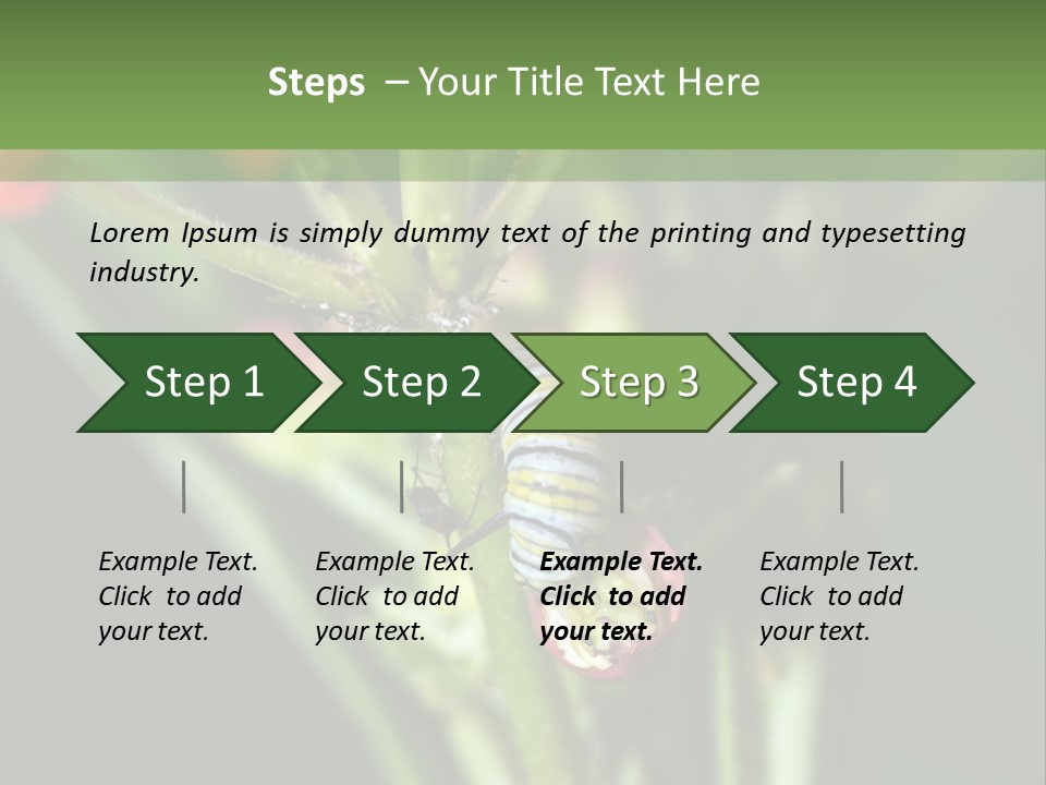 Lepidoptera Monarch Bloodflower PowerPoint Template