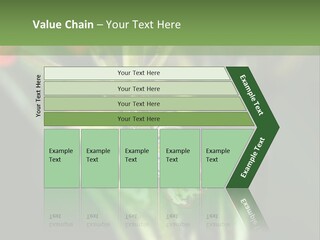 Lepidoptera Monarch Bloodflower PowerPoint Template