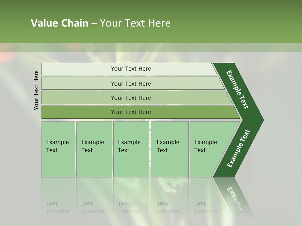 Lepidoptera Monarch Bloodflower PowerPoint Template
