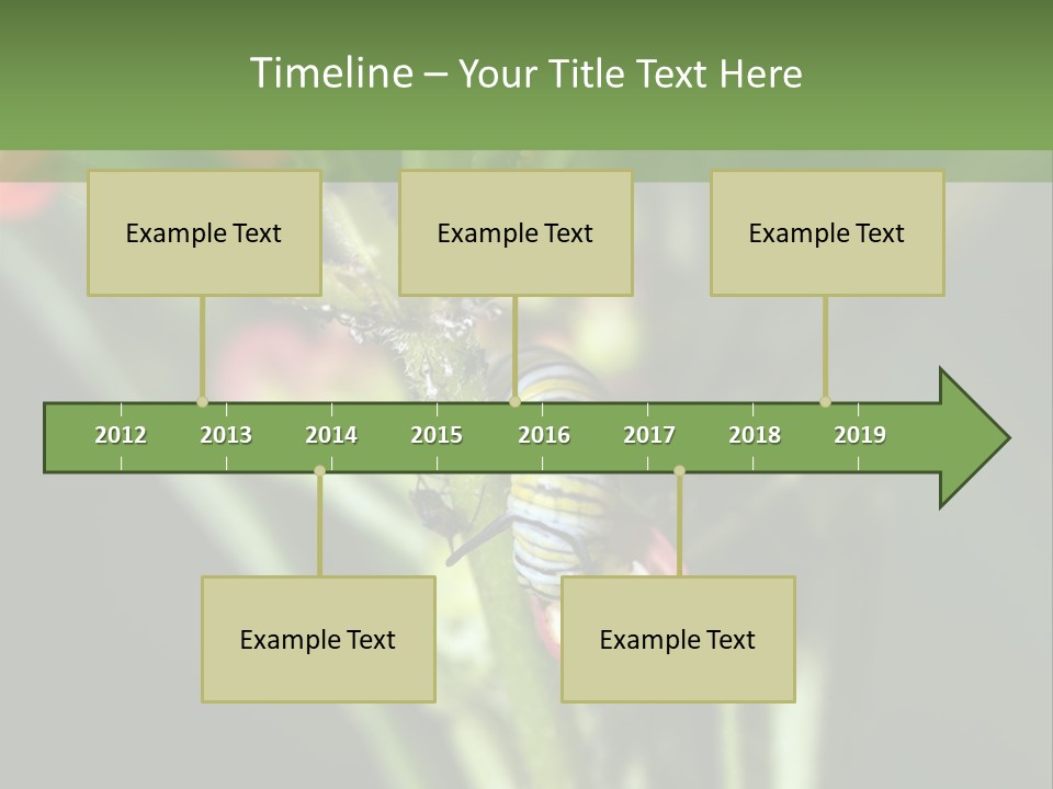Lepidoptera Monarch Bloodflower PowerPoint Template