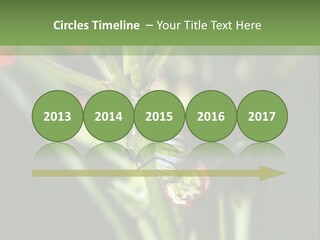 Lepidoptera Monarch Bloodflower PowerPoint Template