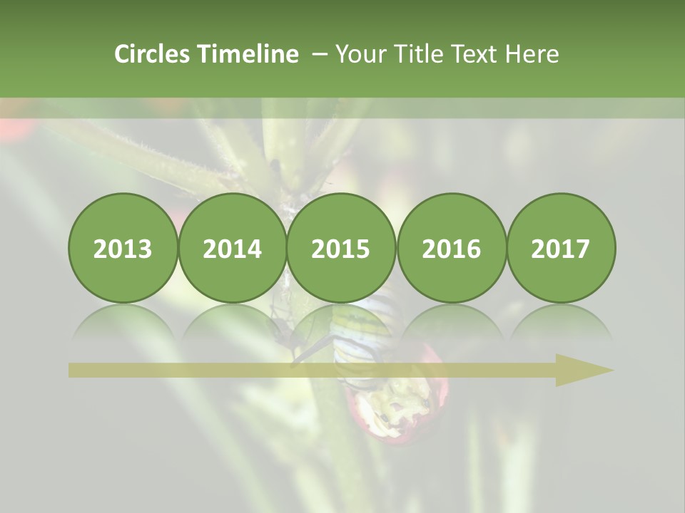 Lepidoptera Monarch Bloodflower PowerPoint Template