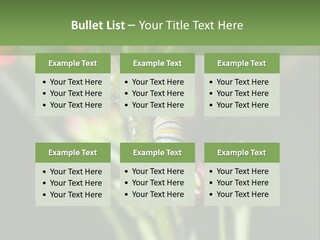 Lepidoptera Monarch Bloodflower PowerPoint Template