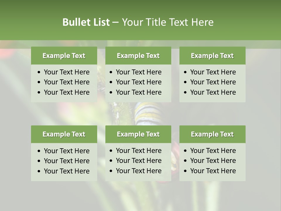 Lepidoptera Monarch Bloodflower PowerPoint Template