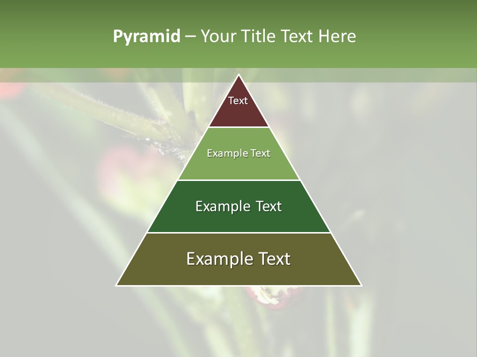 Lepidoptera Monarch Bloodflower PowerPoint Template