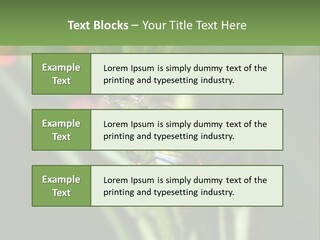 Lepidoptera Monarch Bloodflower PowerPoint Template
