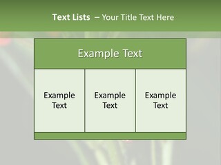 Lepidoptera Monarch Bloodflower PowerPoint Template