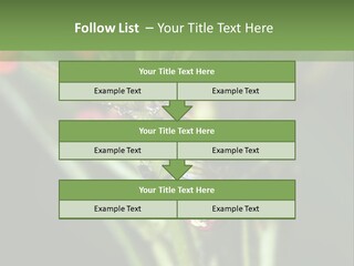 Lepidoptera Monarch Bloodflower PowerPoint Template