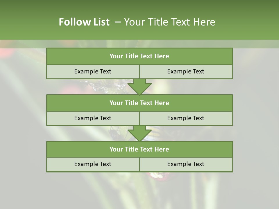 Lepidoptera Monarch Bloodflower PowerPoint Template