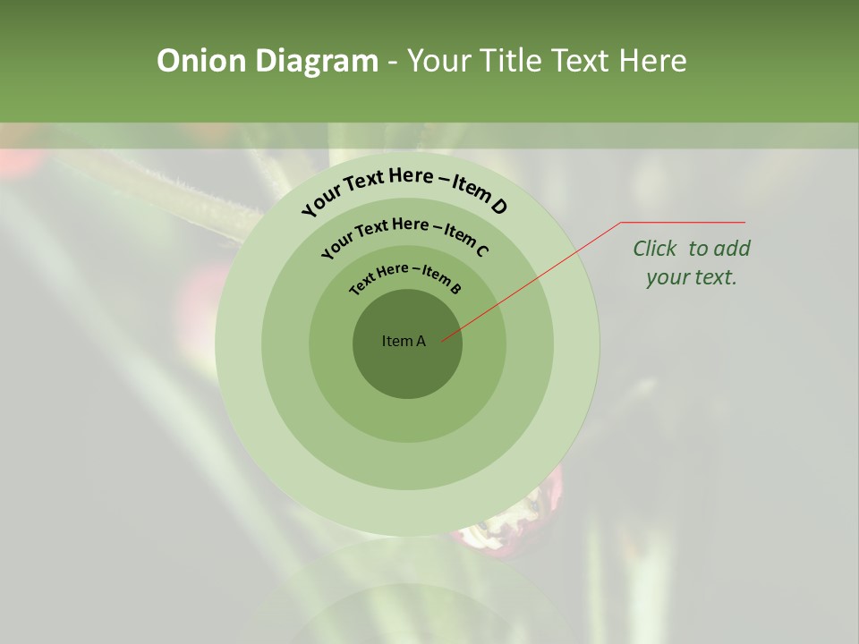 Lepidoptera Monarch Bloodflower PowerPoint Template