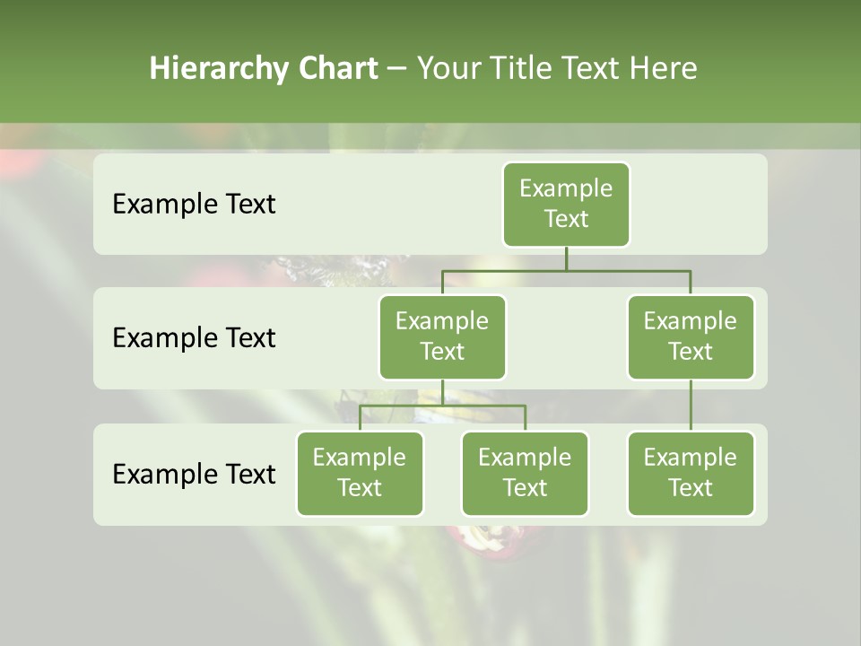Lepidoptera Monarch Bloodflower PowerPoint Template